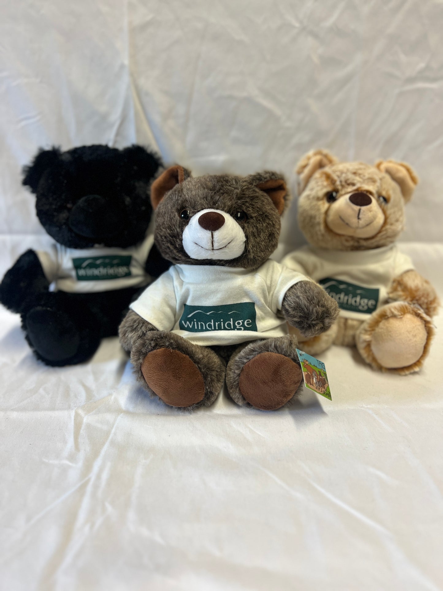 Windridge Teddy Bear