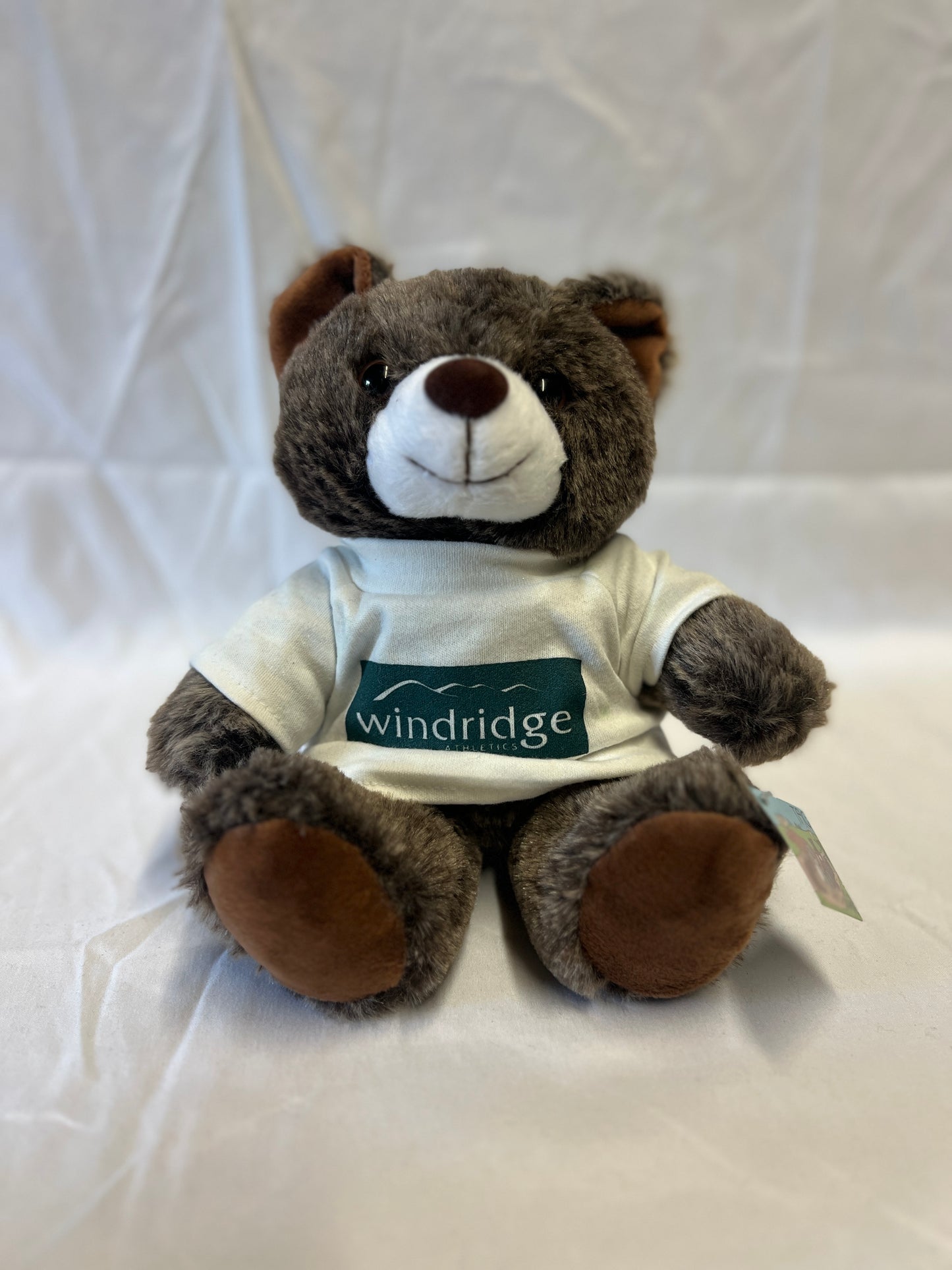 Windridge Teddy Bear