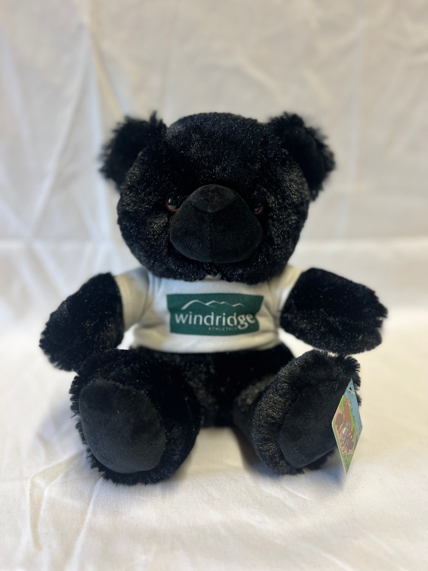 Windridge Teddy Bear
