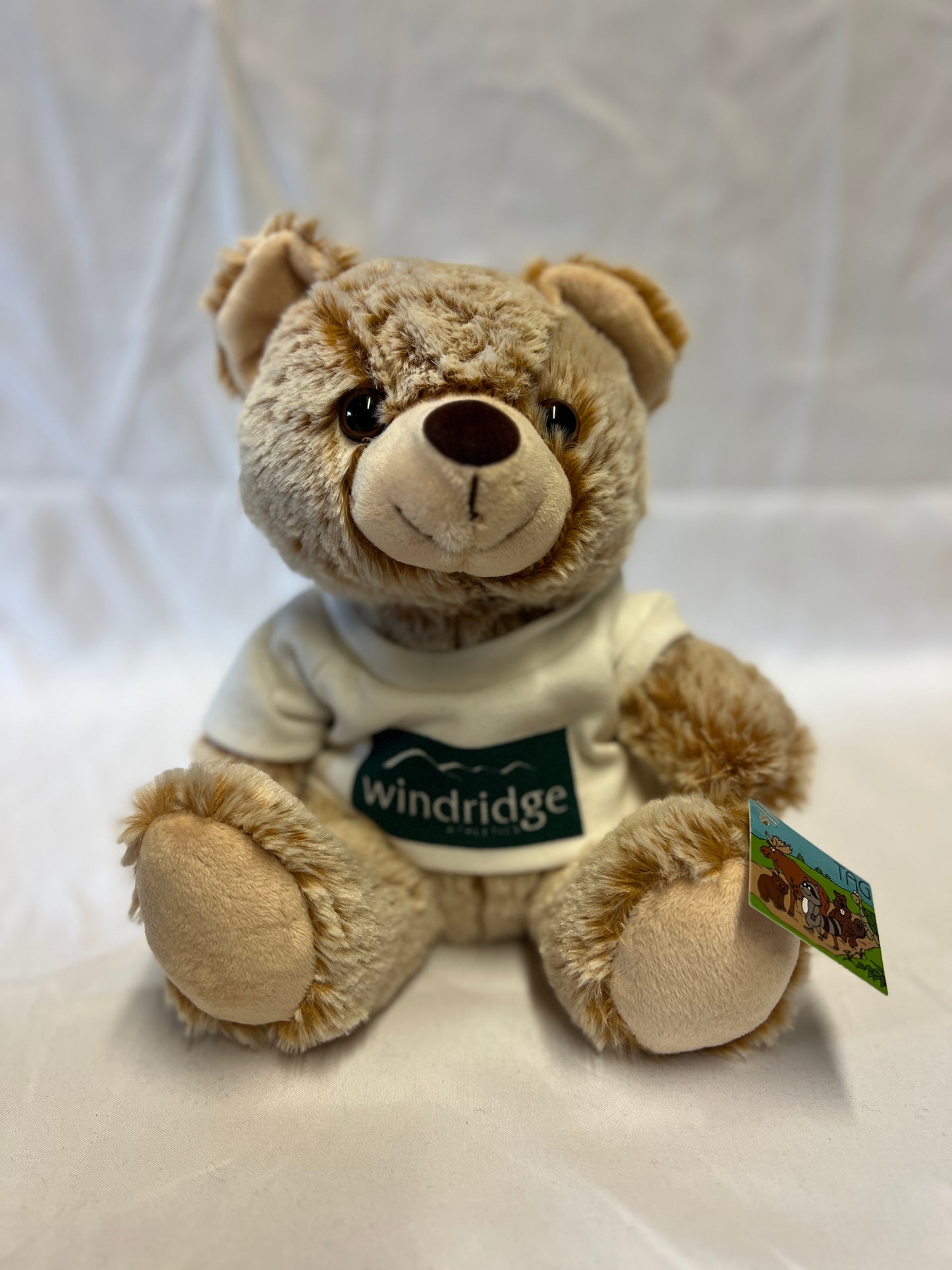 Windridge Teddy Bear